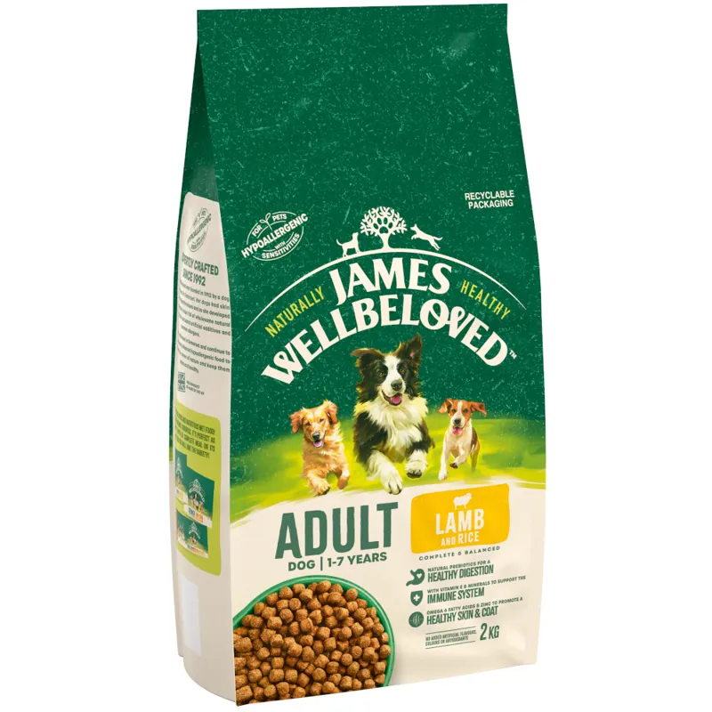 James Wellbeloved Dog Adult Lamb